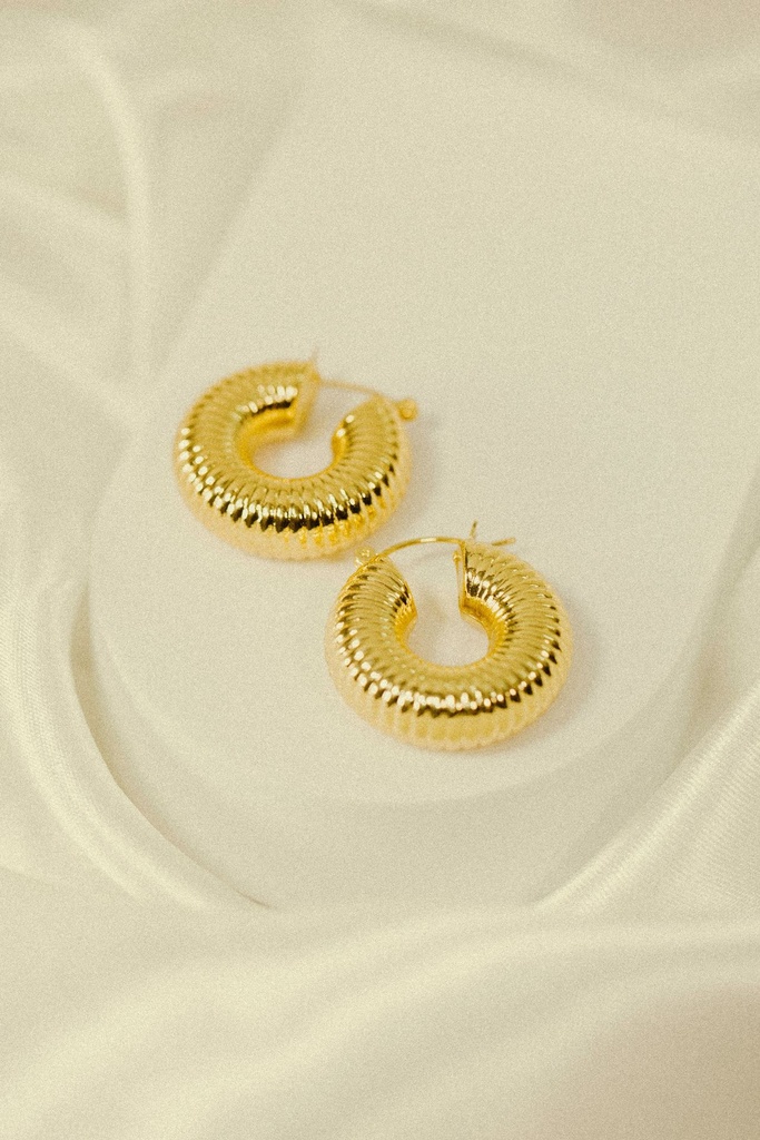 PVD Coated 18K Gold Plated Earrings